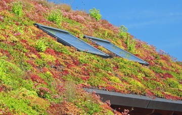 Four Marks living roof systems